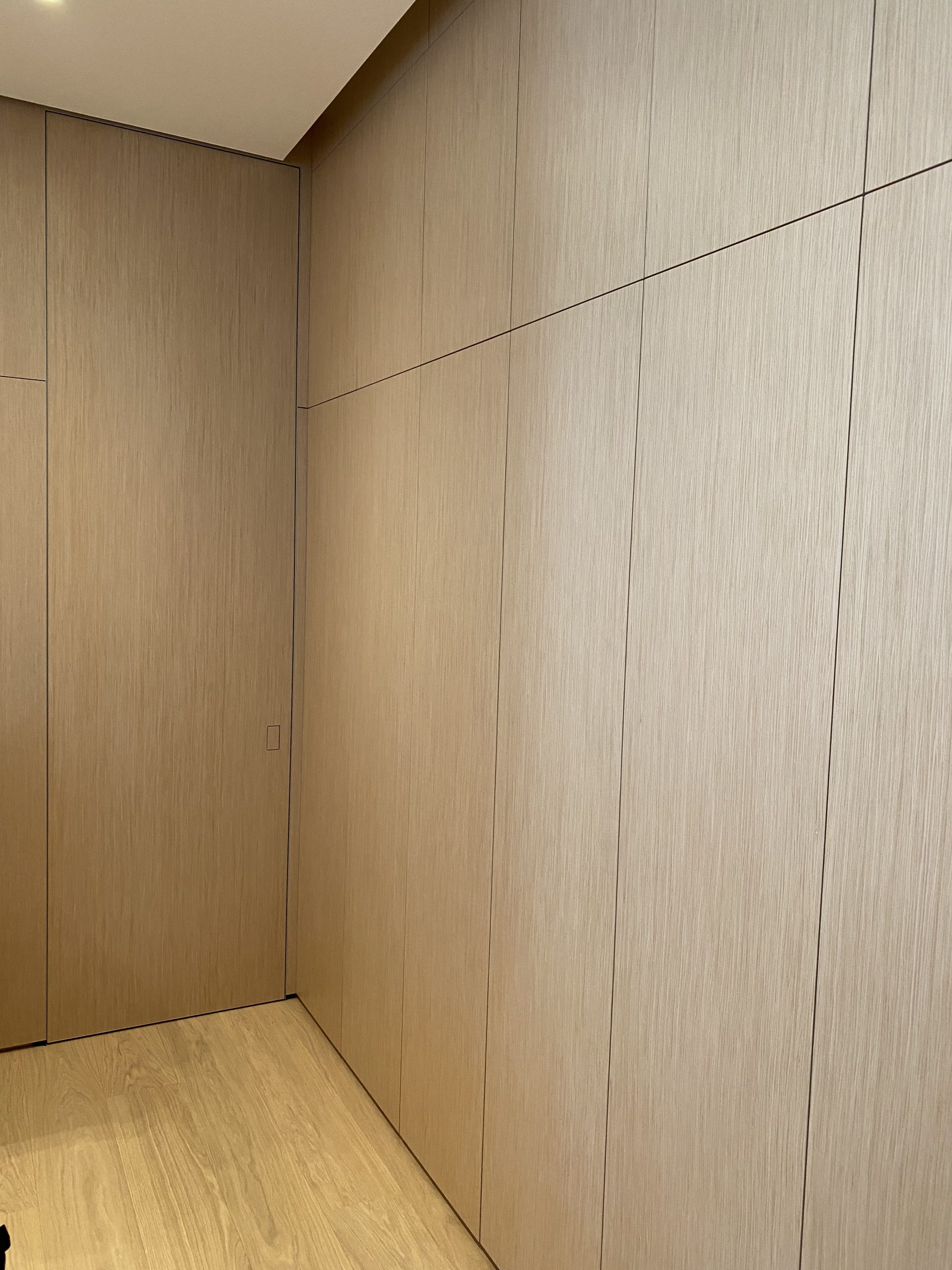 Frameless Concealed Doors